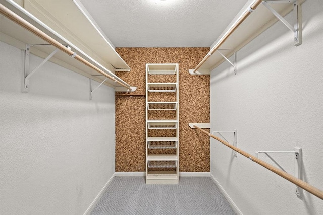 204 Bridges Ln, Buda, TX 78610 - spacious closet featuring carpet flooring
