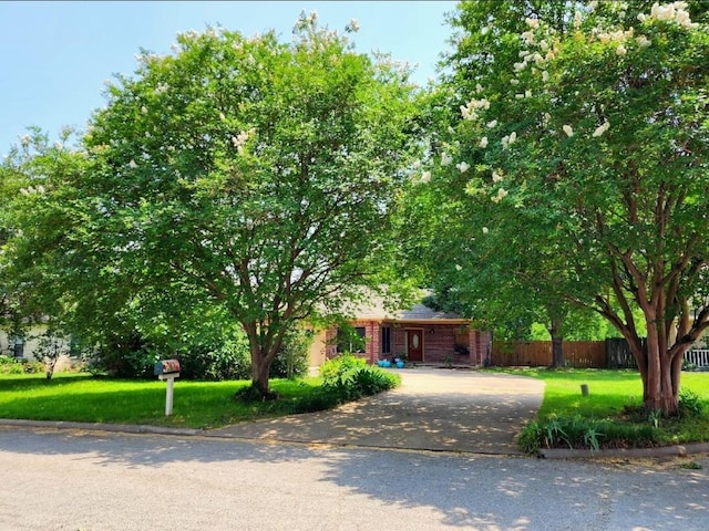 1726 Riverchase Ave, Smithville, TX 78957 - view of obstructed view of property