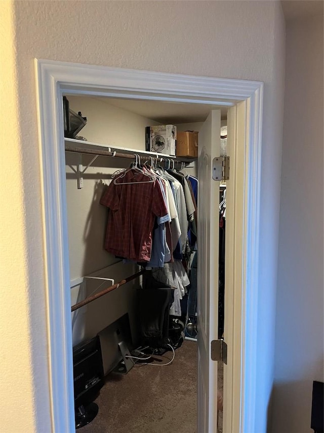 walk in closet with carpet floors
