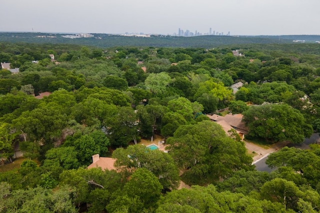 4831 Trail Crest Cir, Austin, TX 78735 - bird's eye view of a forest