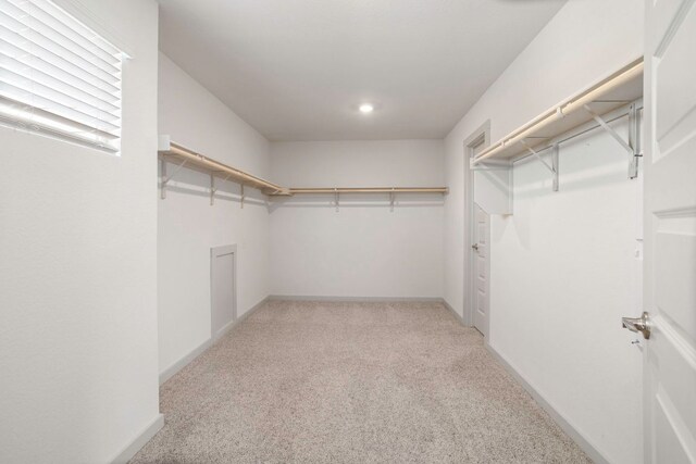 117 Scarborough Way, San Marcos, TX 78666 - walk in closet featuring light carpet