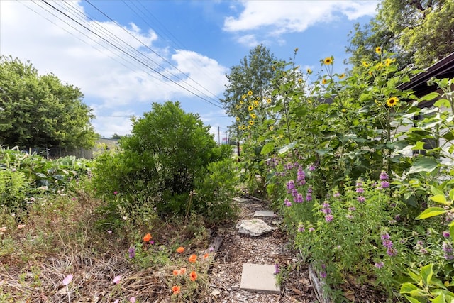3409 Kay St, Austin, TX 78702 - view of yard