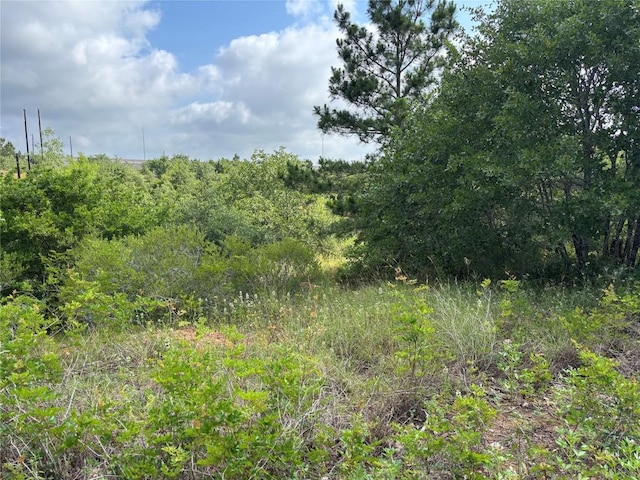 101 Homonu Ct, Bastrop, TX 78602
