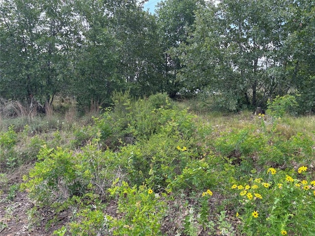 101 Homonu Ct, Bastrop, TX 78602