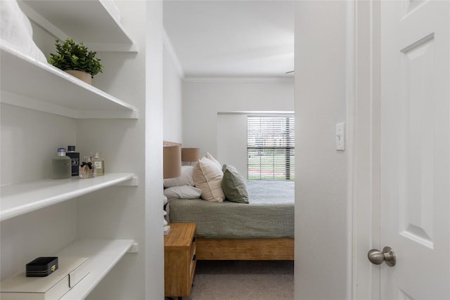 11237 Lost Maples Trl, Austin, TX 78748 - bedroom with crown molding and carpet floors