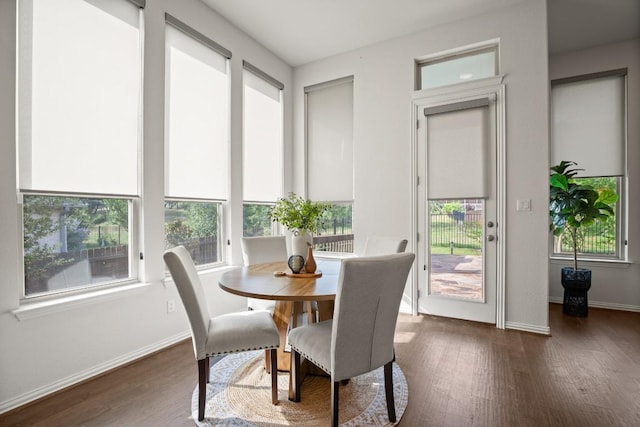 136 Medina Hills Ct, Austin, TX 78737 - dining room with wood finished floors, plenty of natural light, and baseboards