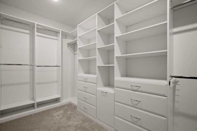136 Medina Hills Ct, Austin, TX 78737 - spacious closet featuring carpet