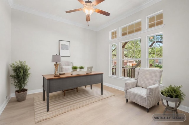 12304 Buvana Dr, Austin, TX 78739 - office area with light wood finished floors, ornamental molding, ceiling fan, and baseboards