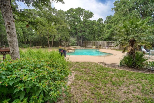 233 Maple Leaf Trl, Elgin, TX 78621 - view of pool with a fenced backyard