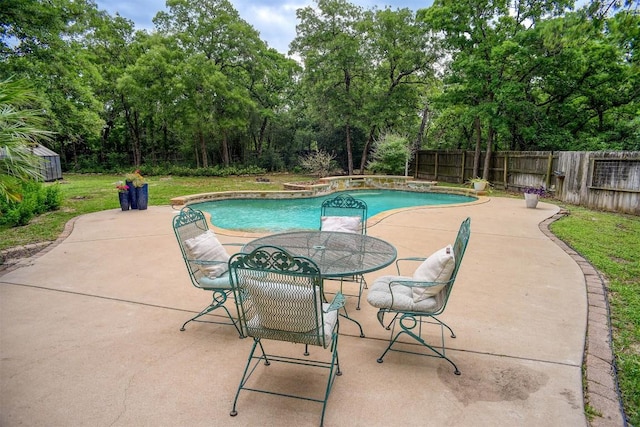 233 Maple Leaf Trl, Elgin, TX 78621 - view of pool featuring a fenced backyard, a patio, and view of wooded area