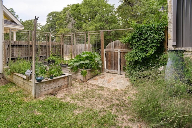 233 Maple Leaf Trl, Elgin, TX 78621 - view of yard featuring a garden