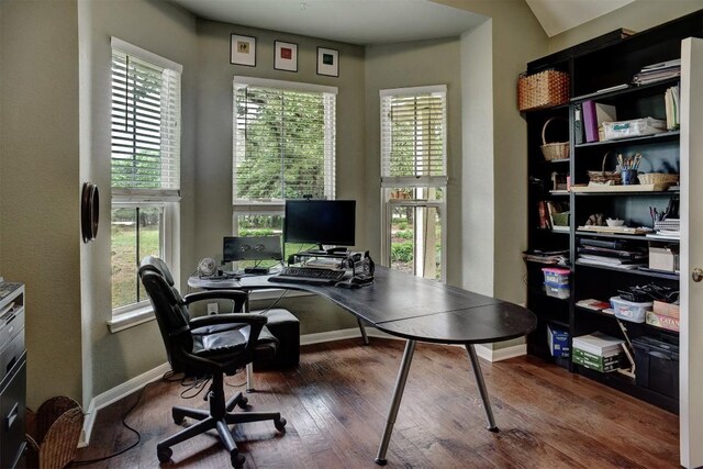 233 Maple Leaf Trl, Elgin, TX 78621 - home office featuring healthy amount of natural light, wood finished floors, and baseboards