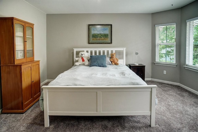 233 Maple Leaf Trl, Elgin, TX 78621 - bedroom featuring dark colored carpet and baseboards