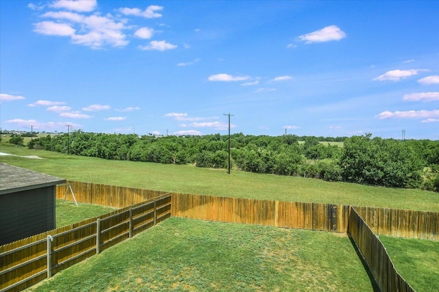561 Greatest Gift Way, Jarrell, TX 76537 - view of yard