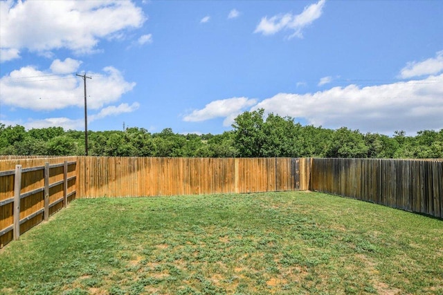 561 Greatest Gift Way, Jarrell, TX 76537 - view of yard