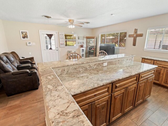 501 Willow St, Buchanan Dam, TX 78609 - photo 11