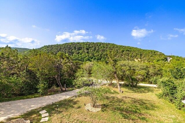 13566 Bullick Hollow Rd, Austin, TX 78726 - photo 31