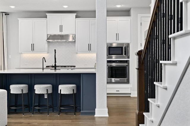 467 Cortaro Dr, Dripping Springs, TX 78620 - kitchen featuring stainless steel appliances, under cabinet range hood, backsplash, light countertops, and white cabinetry