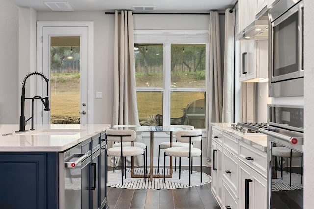 467 Cortaro Dr, Dripping Springs, TX 78620 - kitchen featuring stainless steel appliances, a sink, dark wood-style flooring, and plenty of natural light