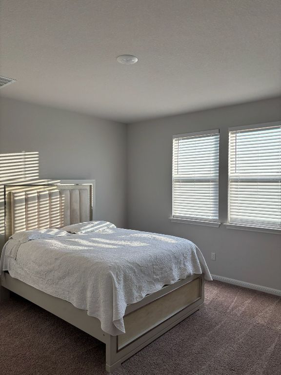316 Tolo Dr, Elgin, TX 78621 - carpeted bedroom with baseboards