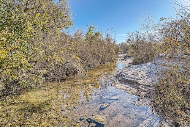 1531 N Red Bud Ln Unit 20, Round Rock, TX 78665 - water view