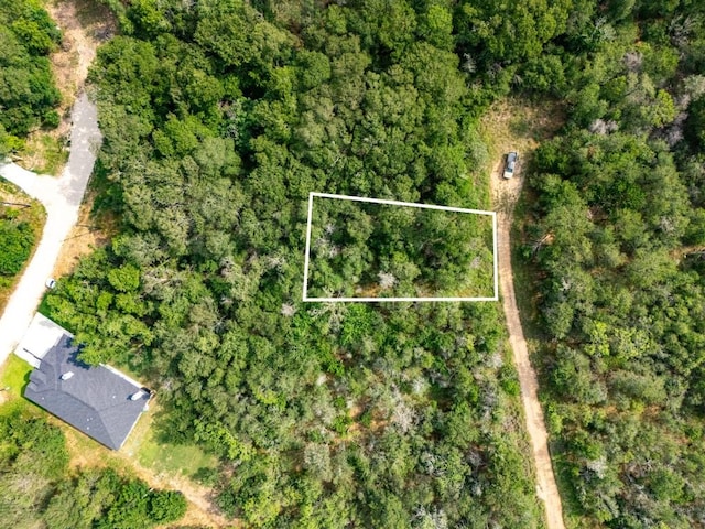 110 Waimalu Cv, Bastrop, TX 78602