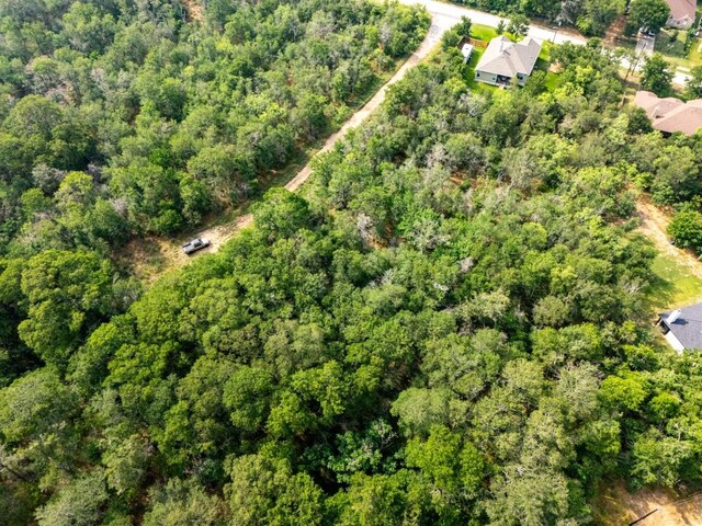 110 Waimalu Cv, Bastrop, TX 78602