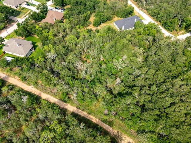 110 Waimalu Cv, Bastrop, TX 78602