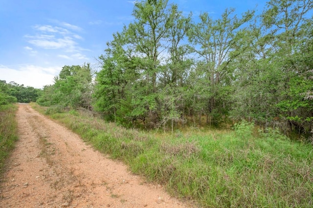 110 Waimalu Cv, Bastrop, TX 78602