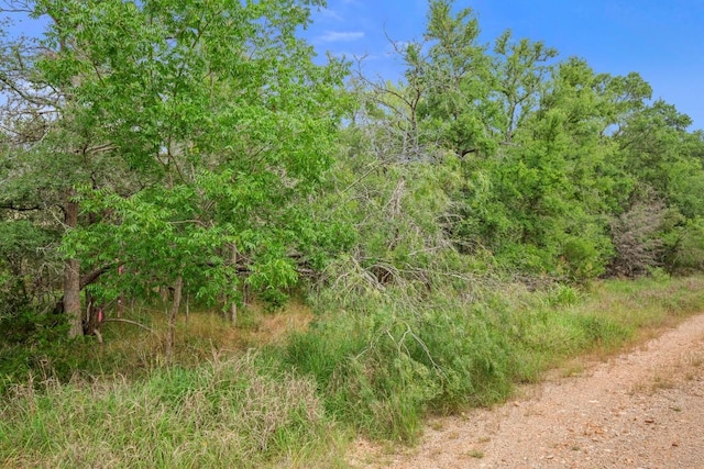 110 Waimalu Cv, Bastrop, TX 78602