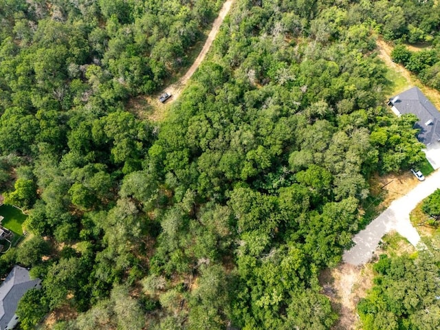 112 Waimalu Cv, Bastrop, TX 78602