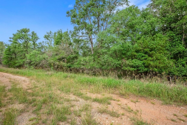 112 Waimalu Cv, Bastrop, TX 78602