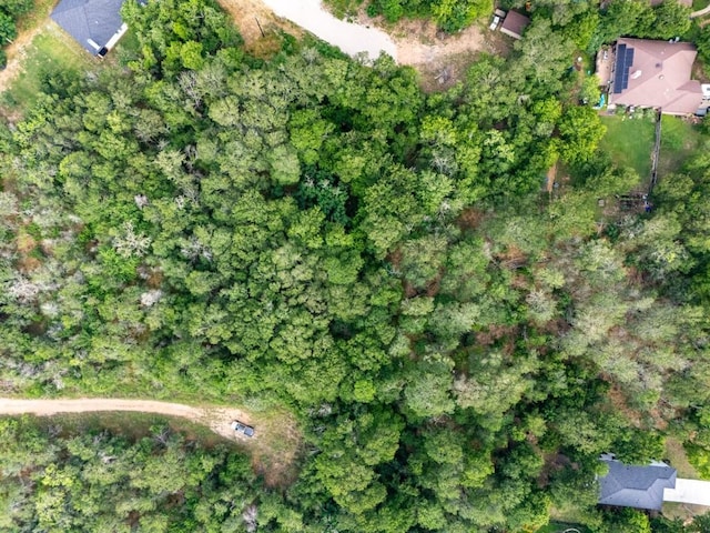 116 Waimalu Cv, Bastrop, TX 78602