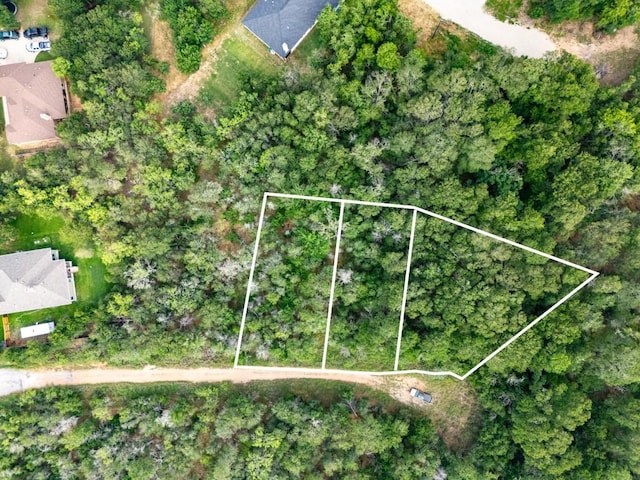 116 Waimalu Cv, Bastrop, TX 78602