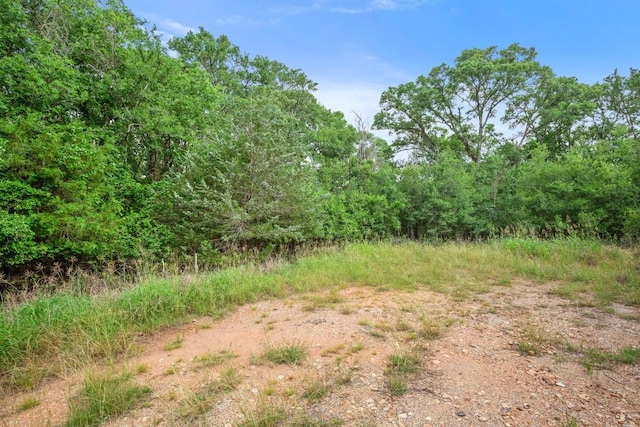 116 Waimalu Cv, Bastrop, TX 78602