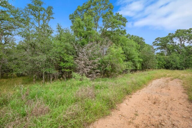 116 Waimalu Cv, Bastrop, TX 78602