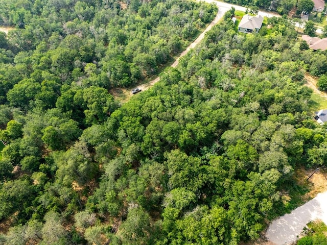 116 Waimalu Cv, Bastrop, TX 78602