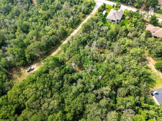 116 Waimalu Cv, Bastrop, TX 78602