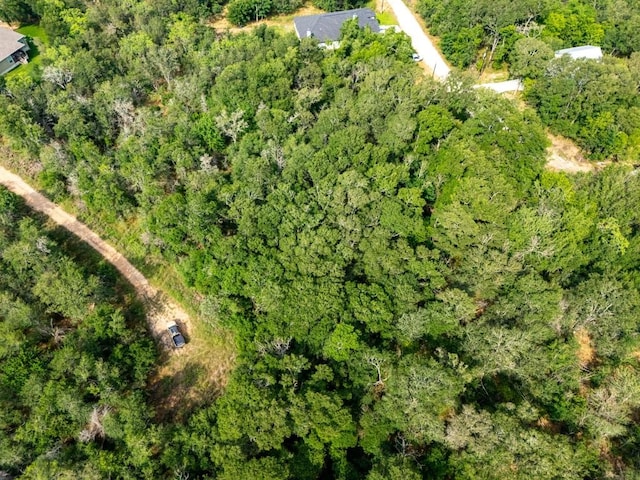 116 Waimalu Cv, Bastrop, TX 78602