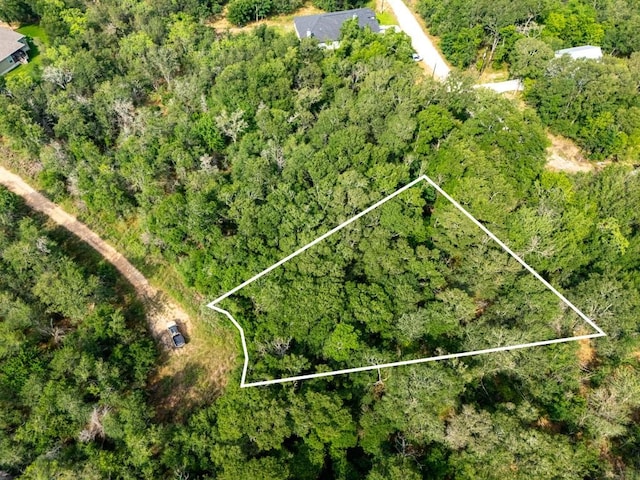 116 Waimalu Cv, Bastrop, TX 78602