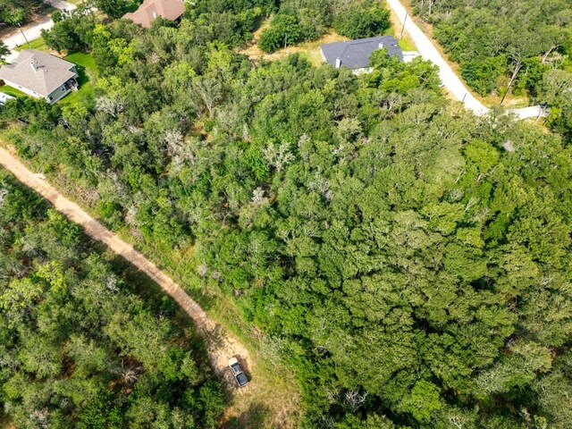 116 Waimalu Cv, Bastrop, TX 78602
