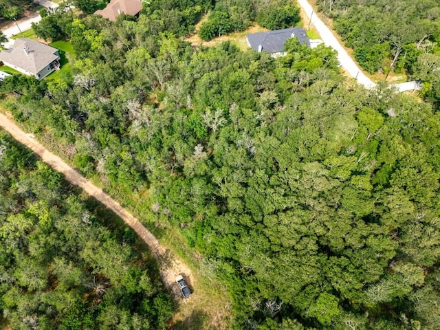 116 Waimalu Cv, Bastrop, TX 78602