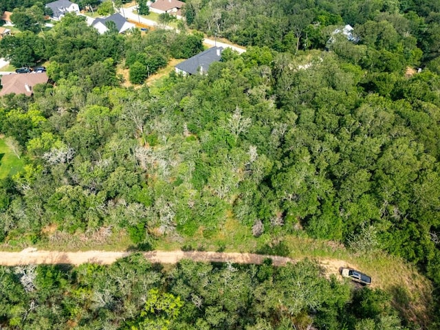 116 Waimalu Cv, Bastrop, TX 78602