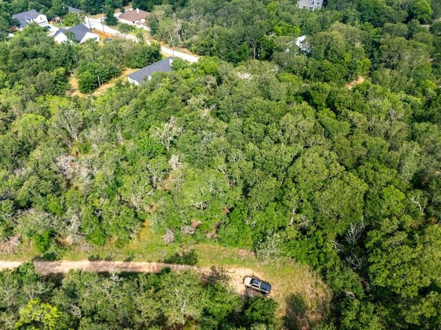116 Waimalu Cv, Bastrop, TX 78602