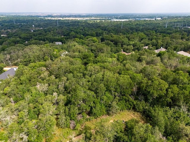 116 Waimalu Cv, Bastrop, TX 78602