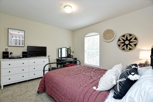 2012 Wood Glen Dr, Round Rock, TX 78681 - view of carpeted bedroom