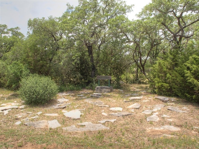 2012 Wood Glen Dr, Round Rock, TX 78681 - view of yard