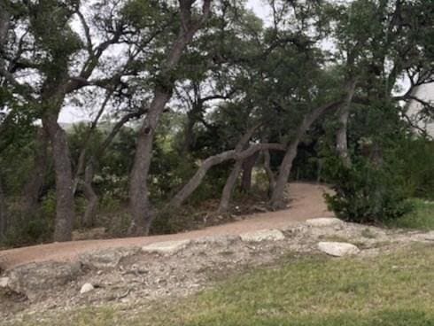 748 Hazy Hills Loop, Dripping Springs, TX 78620 - view of undeveloped land