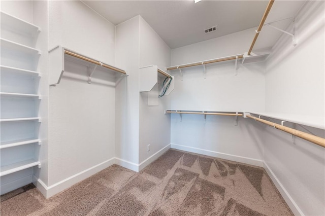 748 Hazy Hills Loop, Dripping Springs, TX 78620 - spacious closet with carpet floors