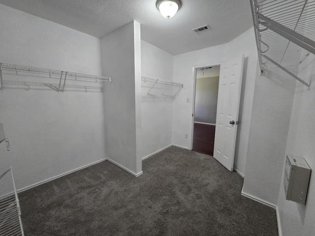 13820 Ceylon Tea Cir, Pflugerville, TX 78660 - spacious closet with carpet floors